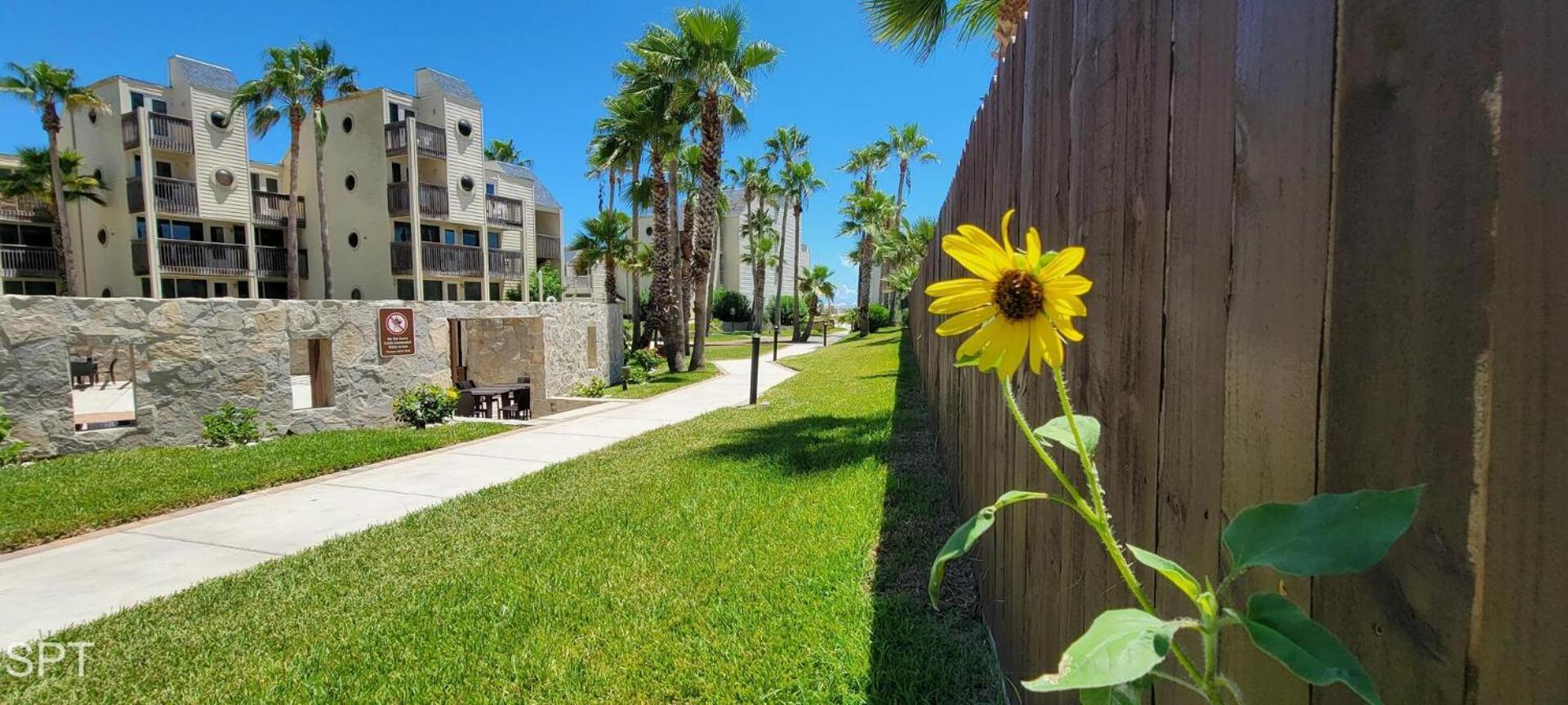 Bahia Mar #426 Villa South Padre Island Exterior photo